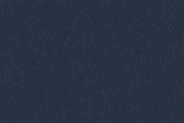 Ryder Navy