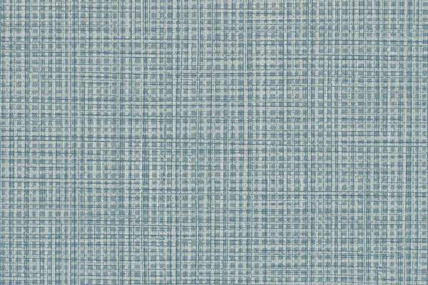 Raffia Premier