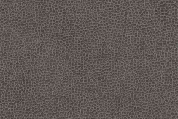 Rugged Lava