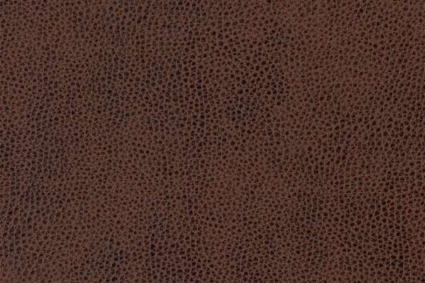 Ryder Leather