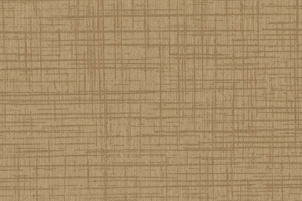 Sketch Flax