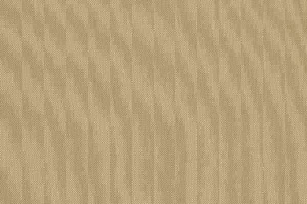 Silverweave Camel