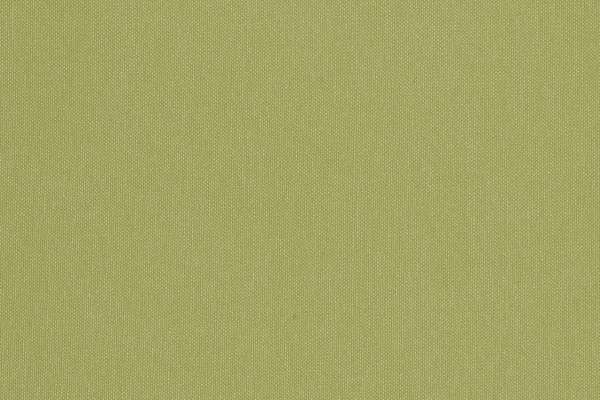 Silverweave Willow
