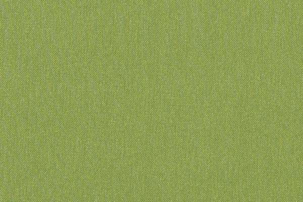 Silverweave Lime