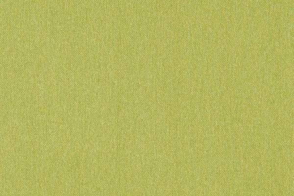 Silverweave Spring