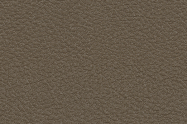 Sandstone Taupe
