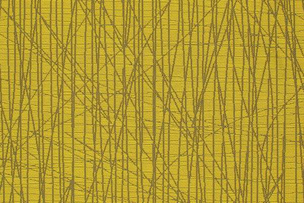 Scribble Xs Citron