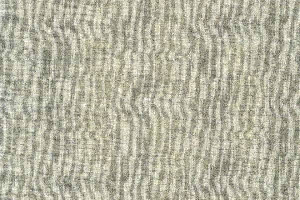 Sharkskin Shortfin