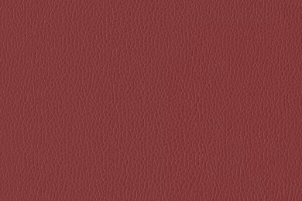 Silica Leather Shiraz