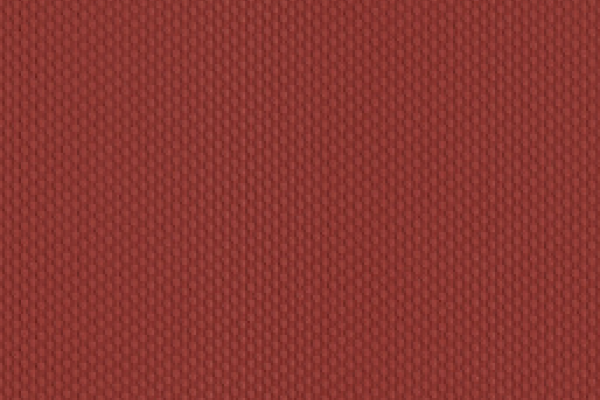 Silicone Reveal Spice