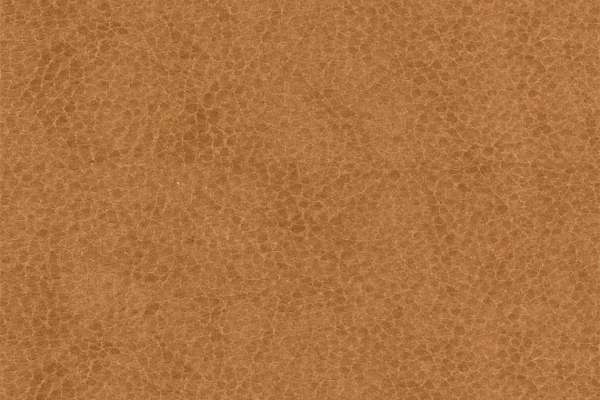 Silicone Swayed Fulvous