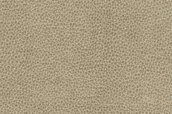 Silicone Swayed Road