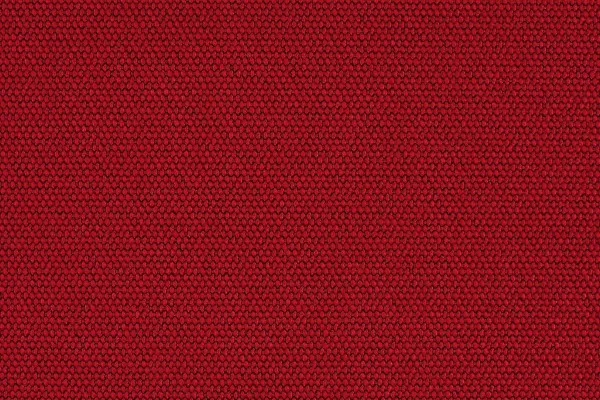 Sister Solid Scandalous