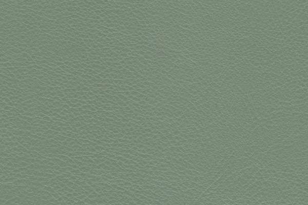 Strato Leather