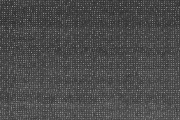 Phantasea Semi Shade