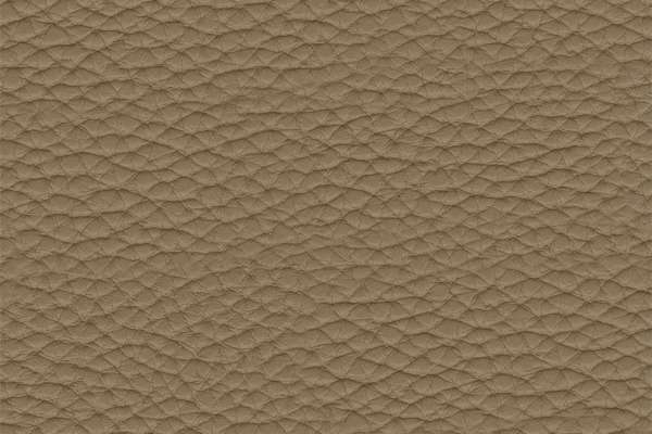 Thoroughbred Clay
