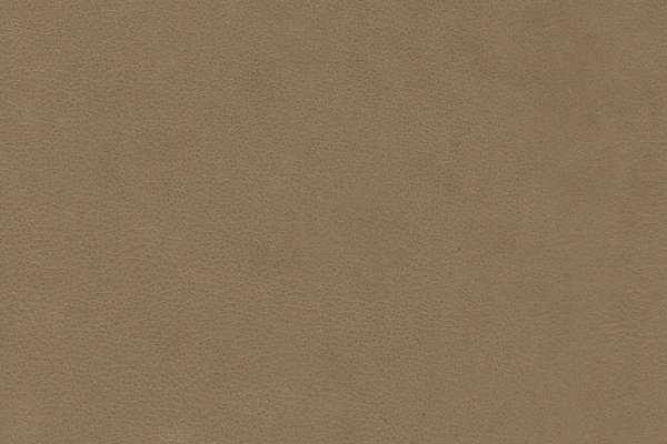 Touche Leather Fawn
