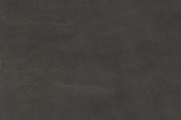 Touche Leather Dove