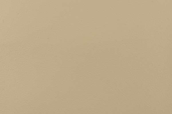 Layer Canvas Layer Canvas