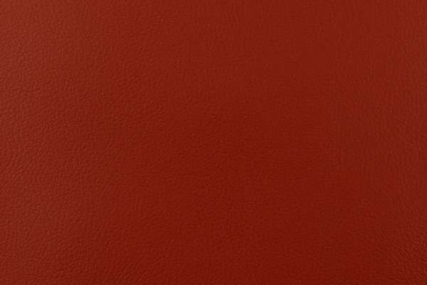 Layer Polish Layer Polish