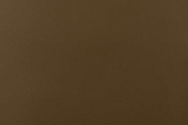 Layer Veneer Layer Veneer