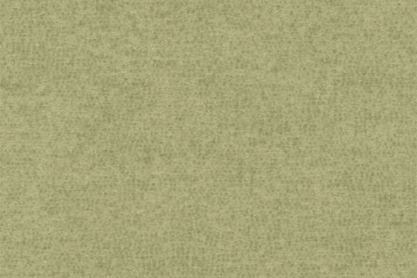 Ultraflannel Pistachio
