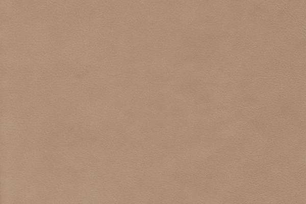 Wild Leather Sand