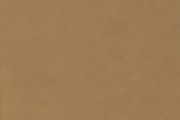Wild Leather Corda