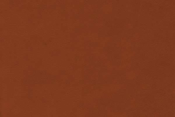 Wild Leather Cognac