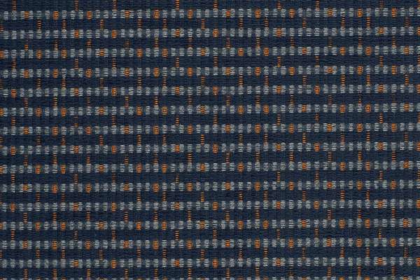 Zippy Navy