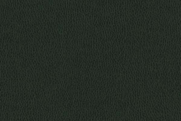 Palermo II Alligator