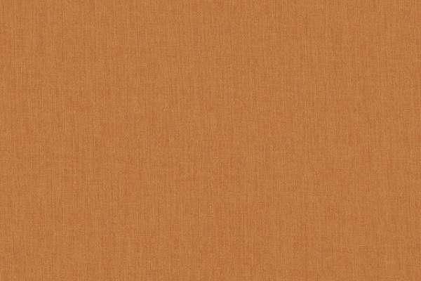 apricot life tacktacktack　chemical lace OFS - Alphabet Apricot