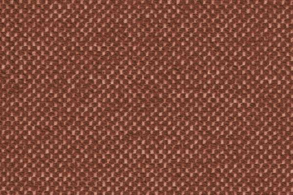 Tete A Tete Cannelle