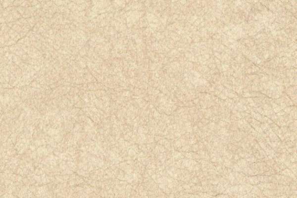 Imprint Oatmeal