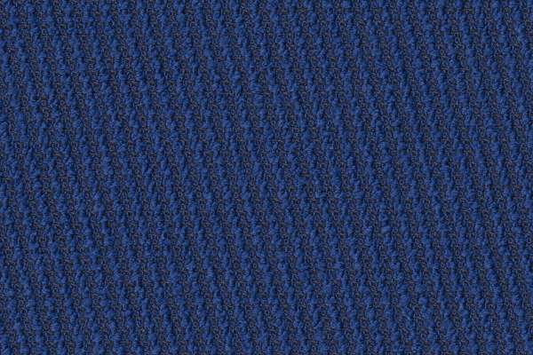 Phoebe Ultramarine