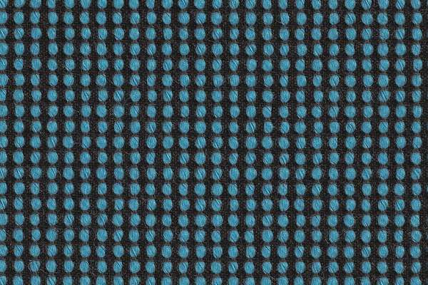 Polka Azul