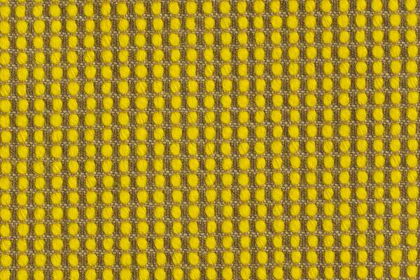 Polka Zest