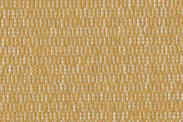 Raindrops Maize