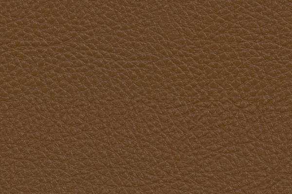 Sandstone Fauve