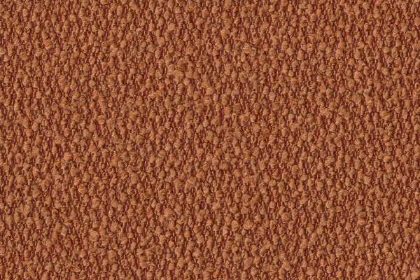 Secco Cinnamon