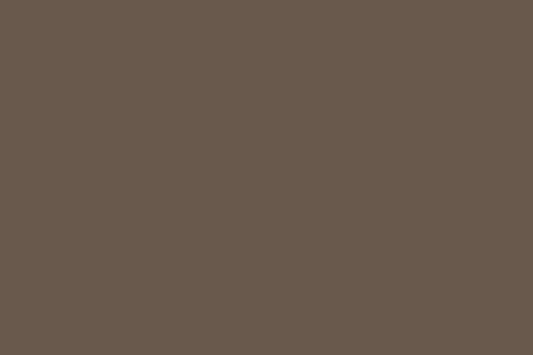 Silica Blend Fossil