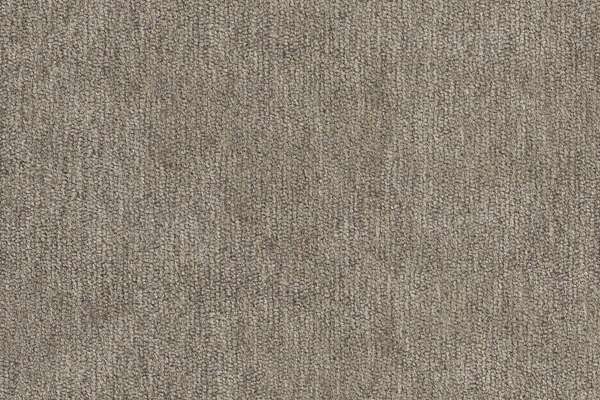 Soho Limestone