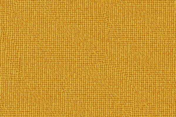 Solace Gilded