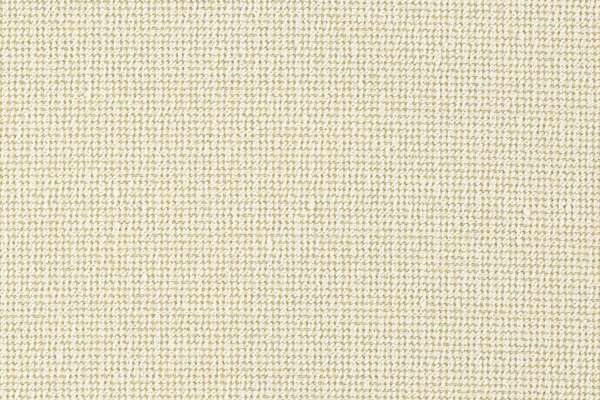 Solace Ivory
