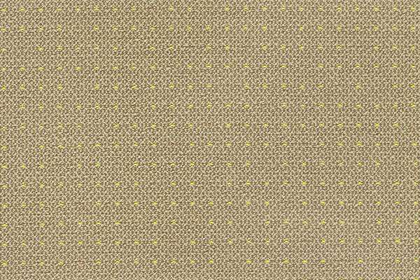 Tufted Myrrh