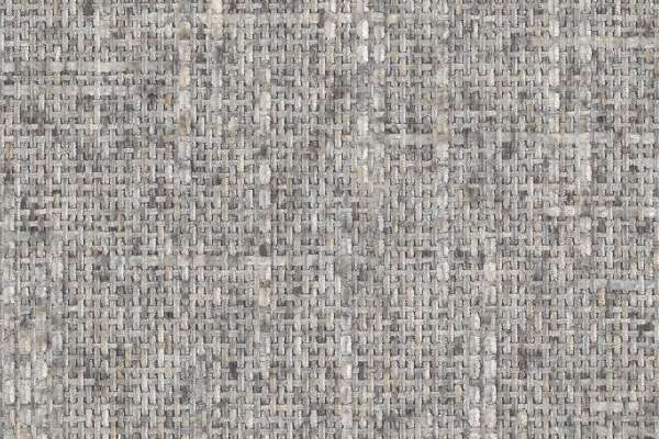 Willa Titanium