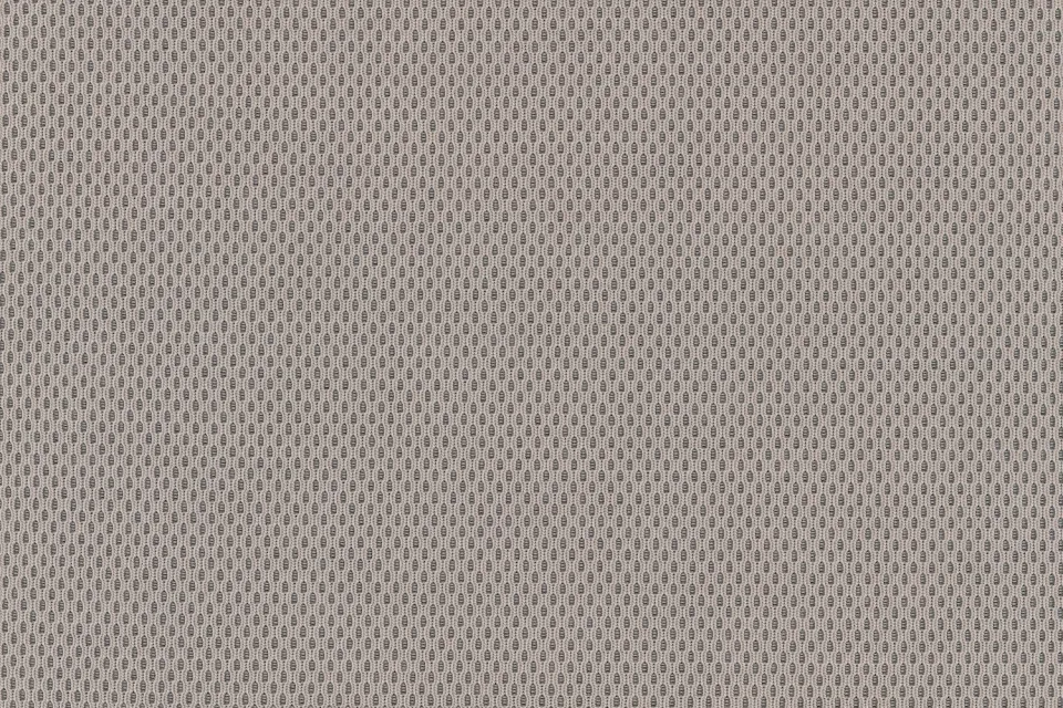 Plecto 0224
