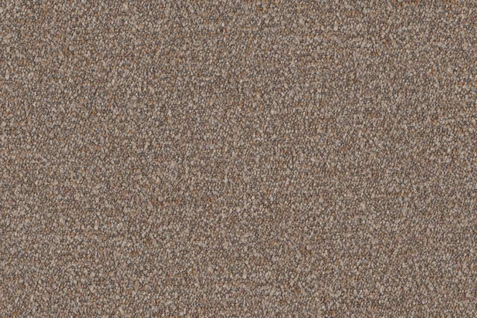 Speckle #1 Cocoa Speckle #1 Cocoa