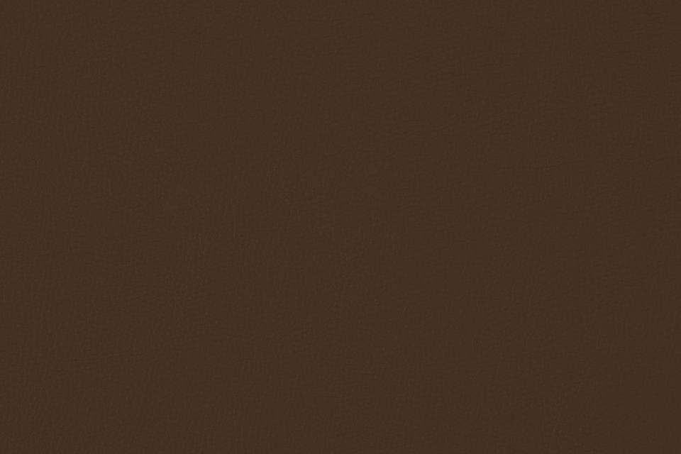 Holy Cow Too Cocoa Bean