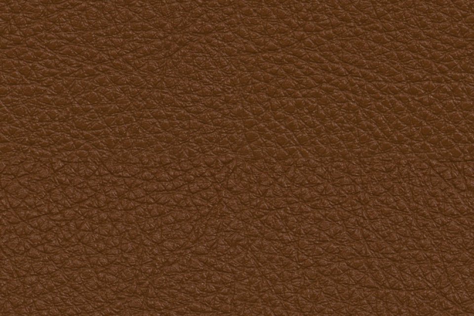 Sandstone Antelope Sandstone Antelope
